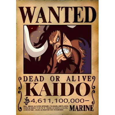 Placa Decorativa WANTED kaido   One Piece Mod.13